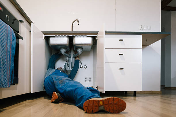 Professional Plumbing technician working in Roseville, MI